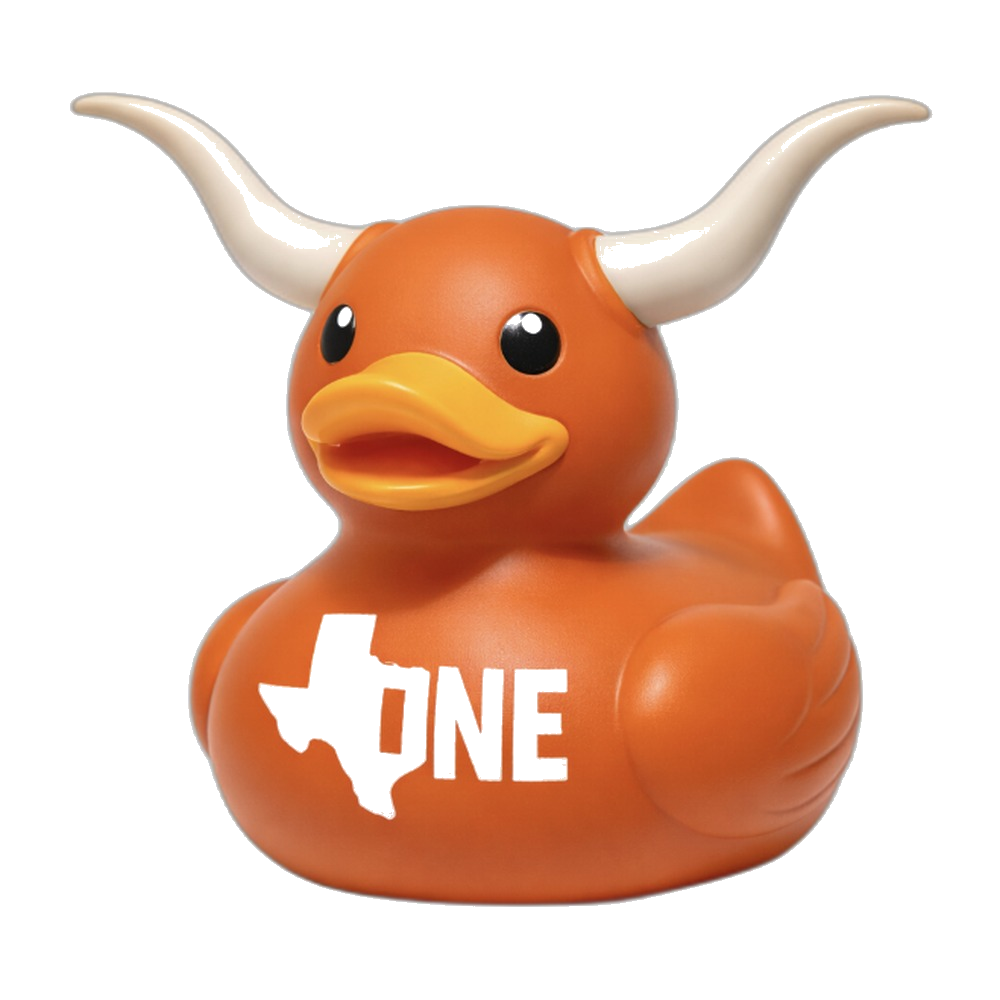 Texas Longhorn character duck